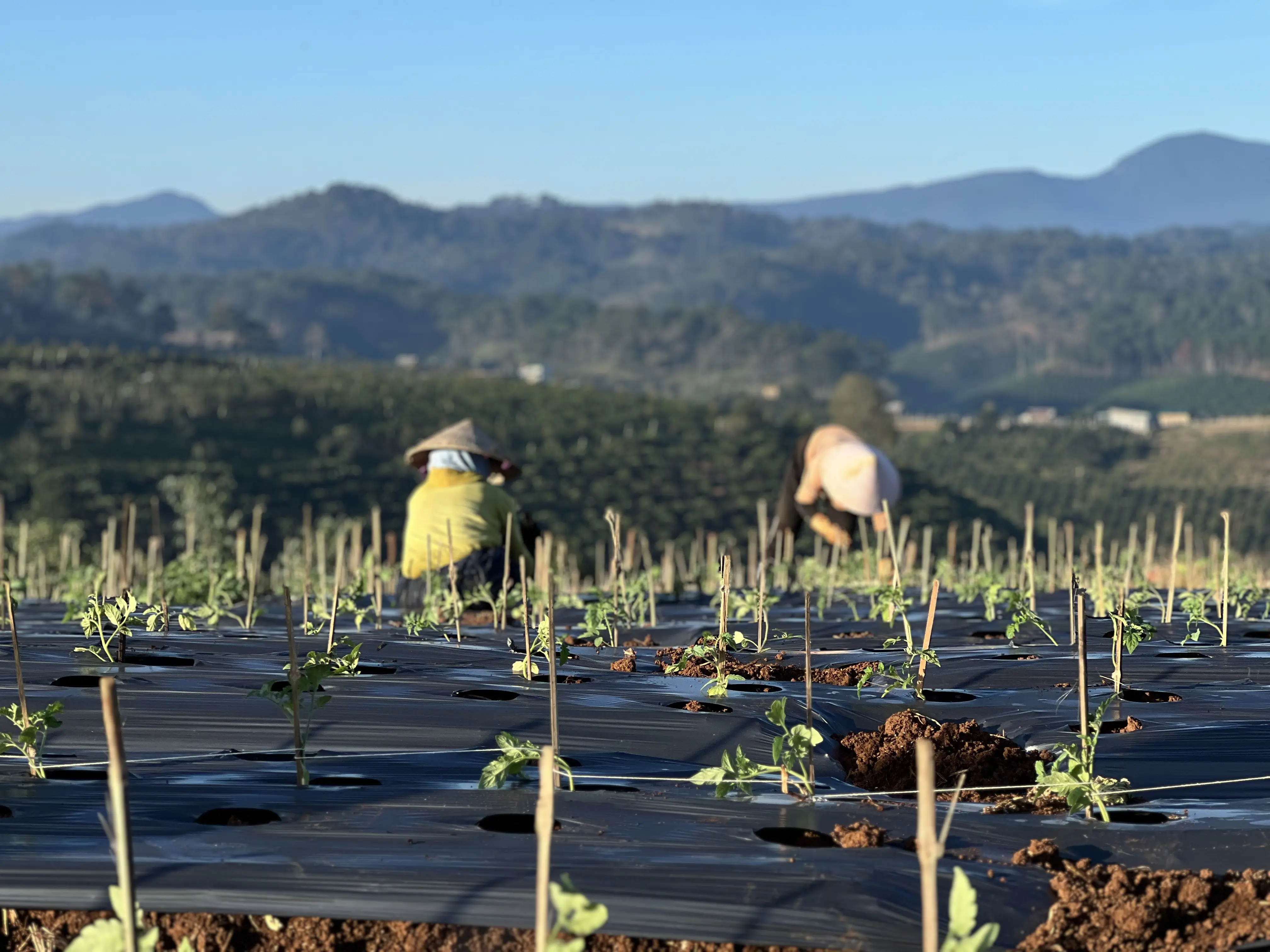 Become Kamereo Partner