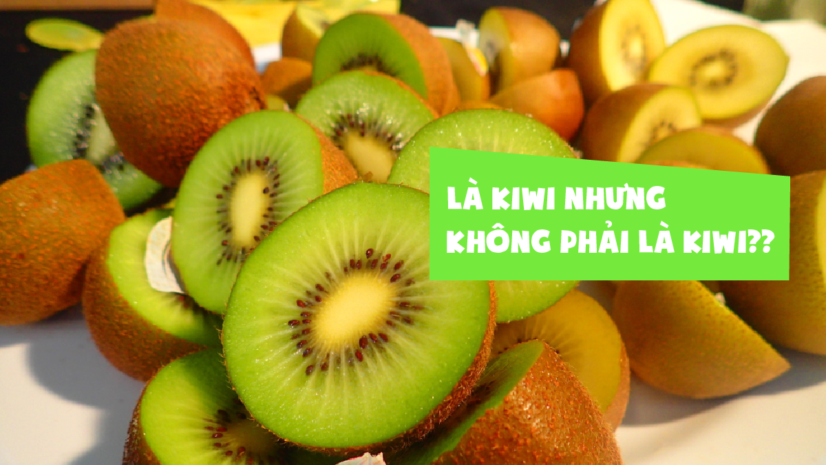 “Kiwi Kiwi là gì?” “Nhập môn” slang của giới trẻ Việt gần đây