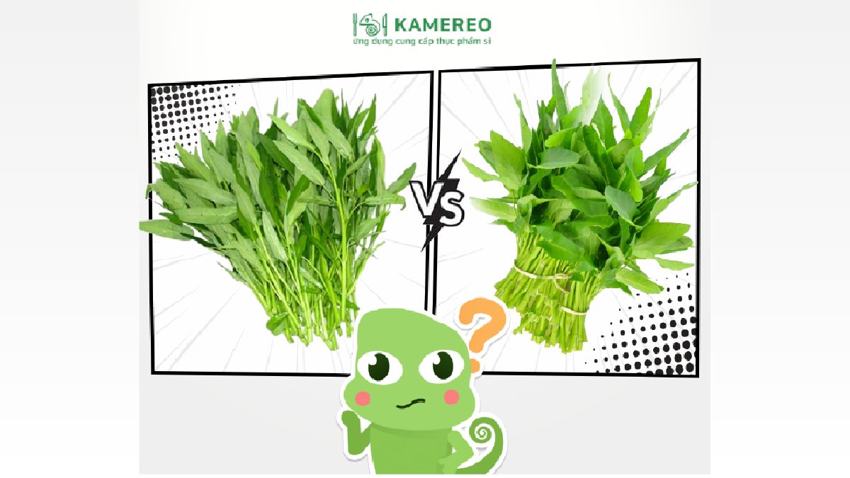 Distinguishing Water Spinach: 4 Key Differences Between ‘Morning’ and ‘Water Morning’ Glory with Kamereo