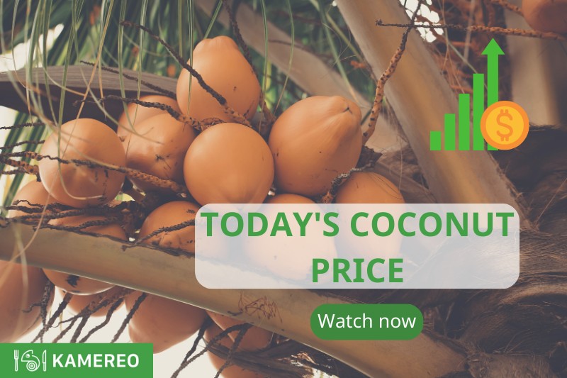 The coconut price chart is continuously updated, always the latest