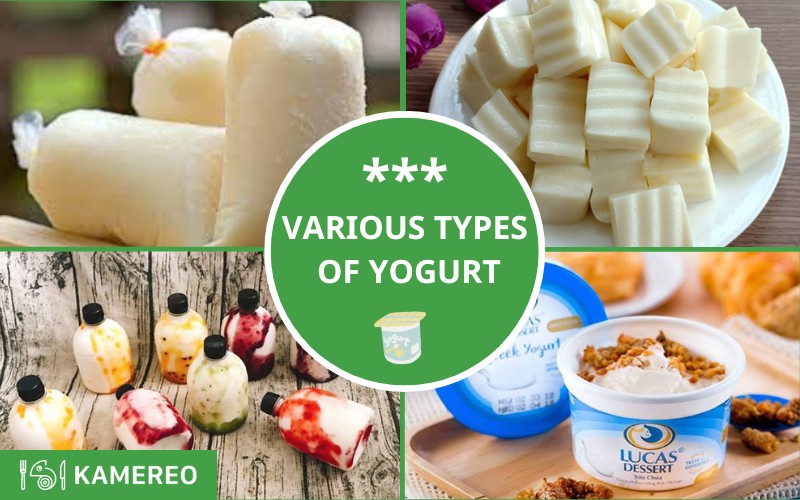 Summarizing the common types of yogurt widely used in the market