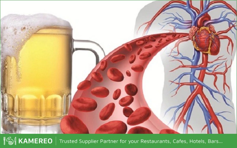 Drinking beer in moderation can reduce the risk of cardiovascular diseases