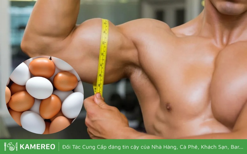 Trứng gà bổ sung protein để xây dựng cơ bắp