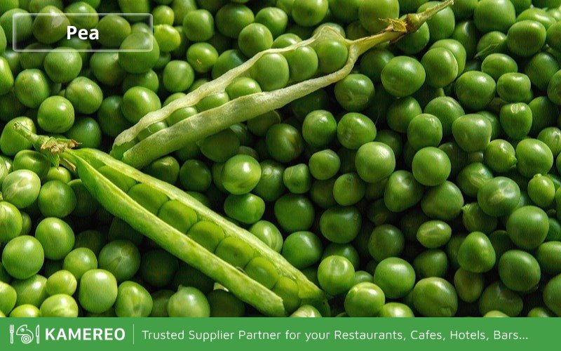 Pea have a high content of plant-based protein