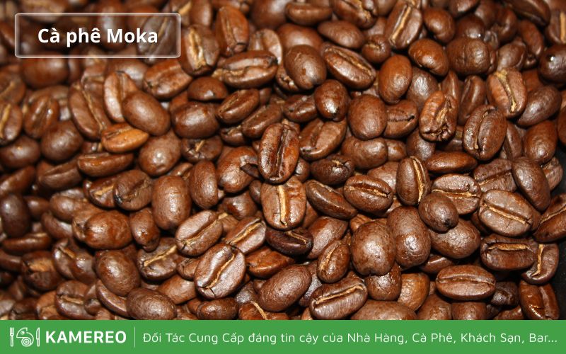 Cà phê Moka có chất lượng cao, nhưng khó trồng tại Việt Nam