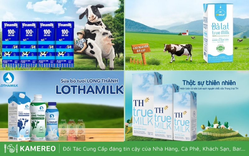 Tất cả các loại sữa tươi phổ biến hiện nay