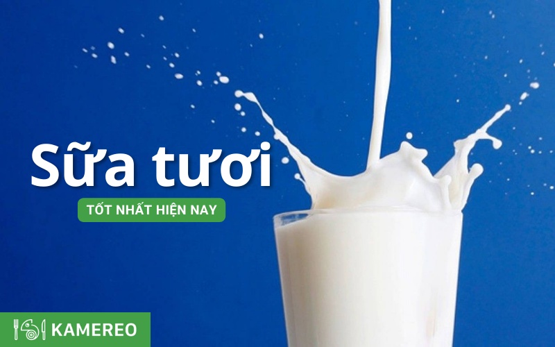 Top các loại sữa tươi nguyên chất, tốt nhất hiện nay