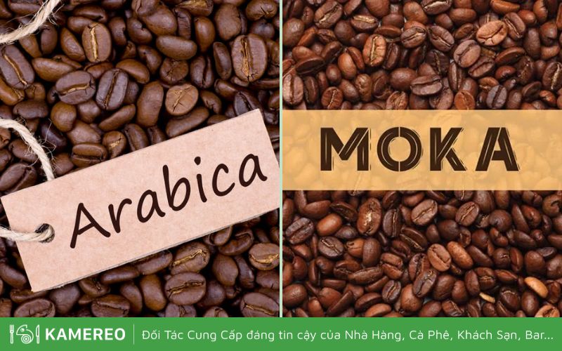 Arabica hoặc Moka là lựa chọn tốt nhất để pha cafe muối bằng máy 