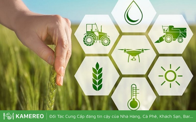 Nông nghiệp bền vững là hướng đi tất yếu cho ngành nông nghiệp trong tương lai