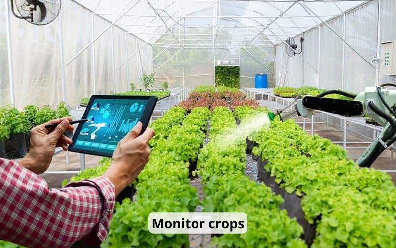 The application of smart agriculture makes production processes easy to monitor