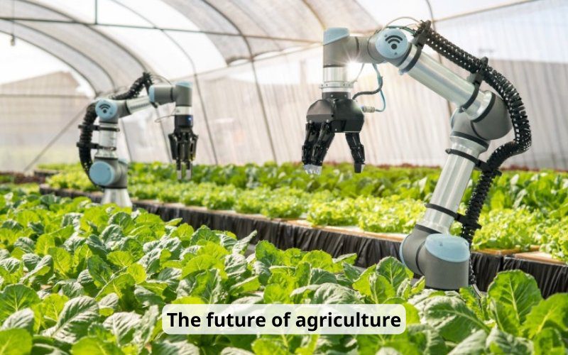 Smart agriculture is the future of agriculture