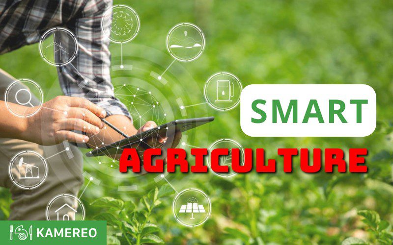 Is smart agriculture worth implementing
