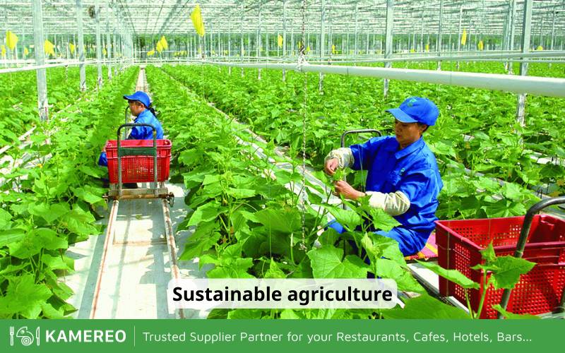 Agricultural farming methods are sustainable, long-term and protect the environment