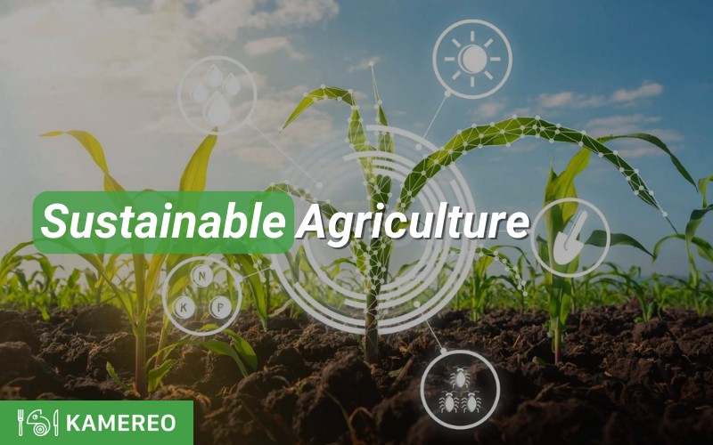 What is Sustainable Agriculture