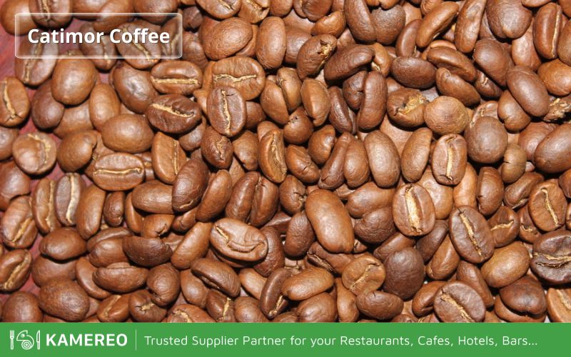 Catimor has better disease resistance on coffee trees than other types