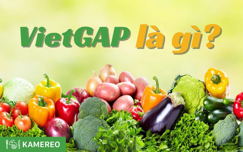 VietGAP là gì? 12 tiêu chuẩn VietGAP trong nông nghiệp