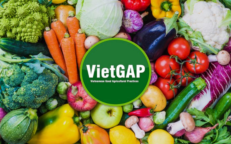 The VietGAP logo indicates that the product meets the requirements for food safety