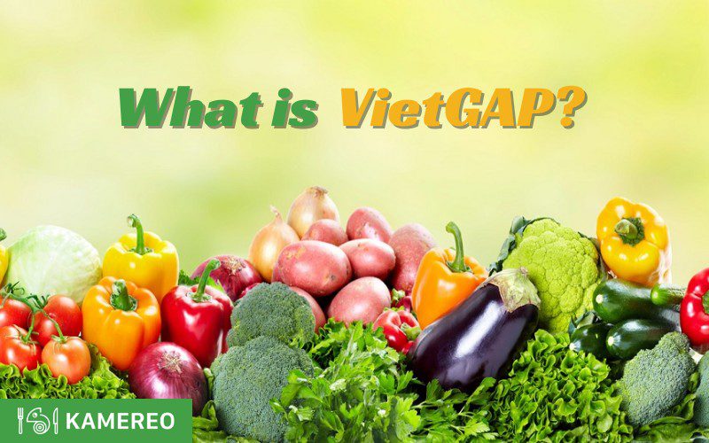 What is VietGAP? 12 VietGAP standards in agriculture