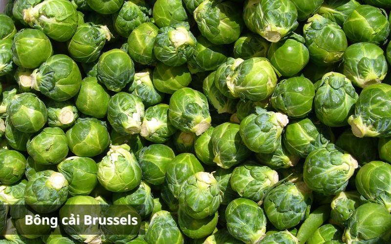 Cải Brussels cung cấp chất chống oxy hóa, vitamin và khoáng chất cần thiết cho cơ thể