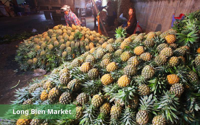Long Bien wholesale market is a common place to wholesale fruits in Hanoi
