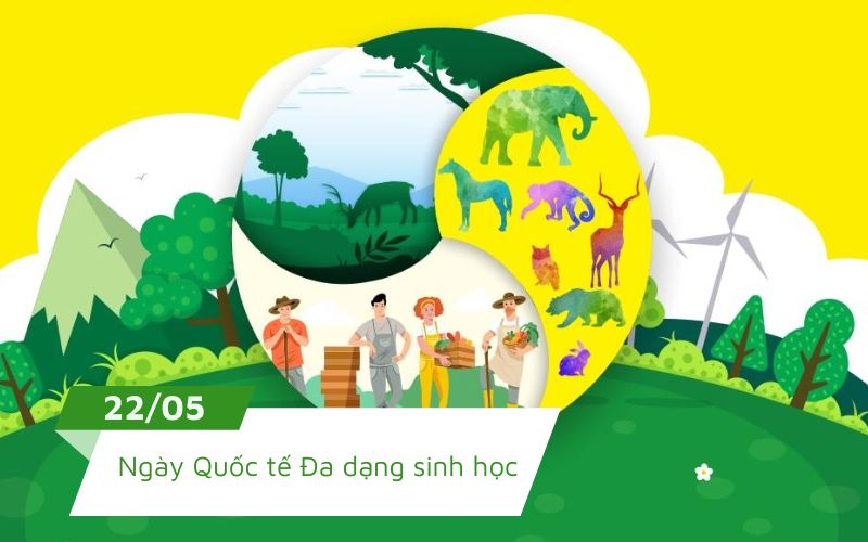 Ngày Quốc tế Đa dạng sinh học được lập ra để tăng nhận thức về việc đa dạng sinh học