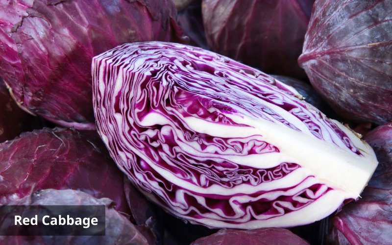 Anthocyanin extract in red cabbage helps improve heart health
