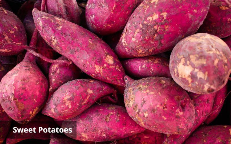 Sweet potatoes are an abundant source of vitamin A for the body