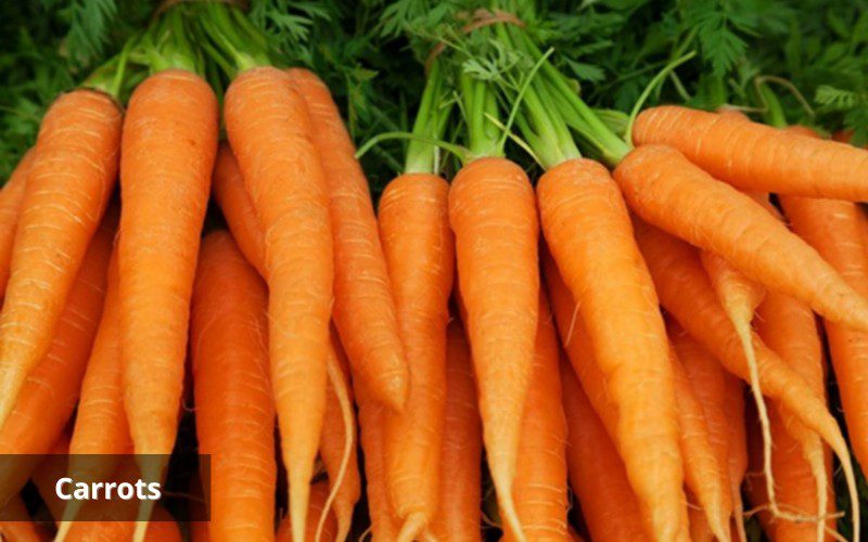 Carrots are rich in Vitamin A, four times the recommended value