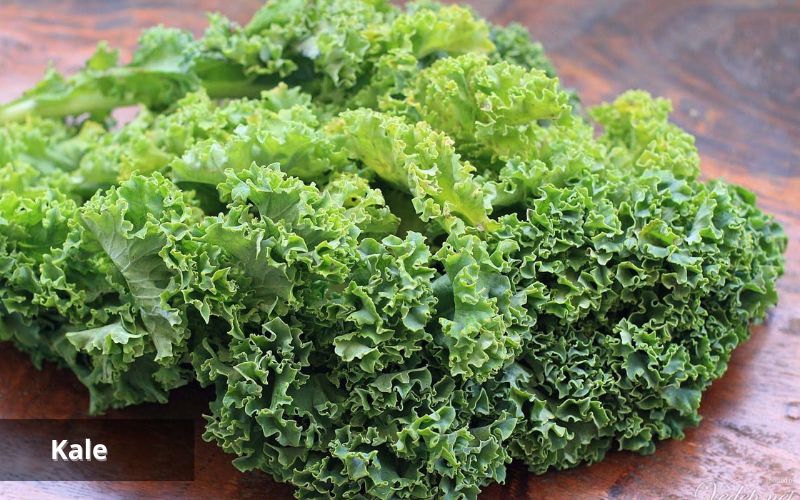 Kale may support heart health due to its antioxidant properties