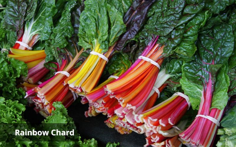 Rainbow chard studied can reverse the effects of diabetes