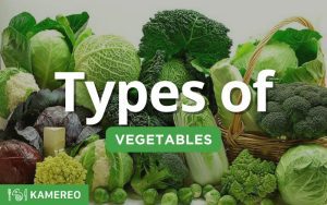 The best types of vegetables you usually eat daily