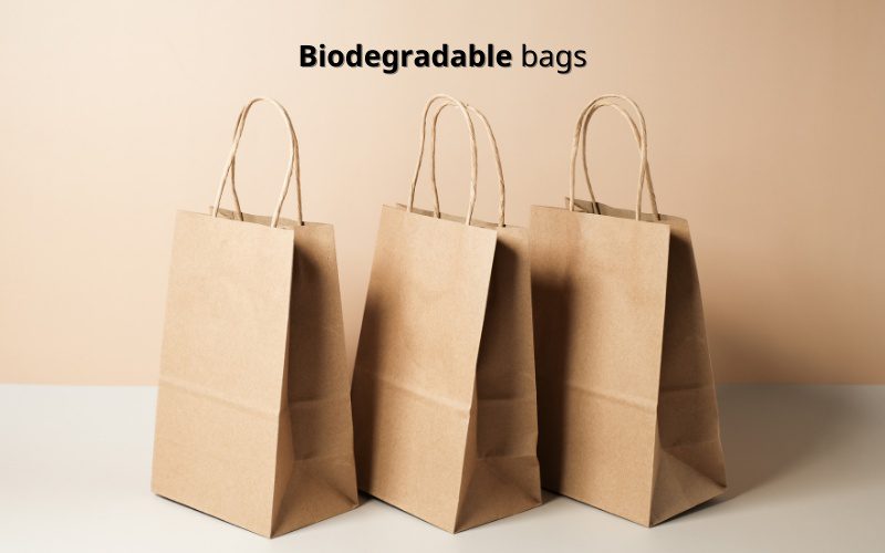 Biodegradable bags as an environmental solution to replace plastic bags