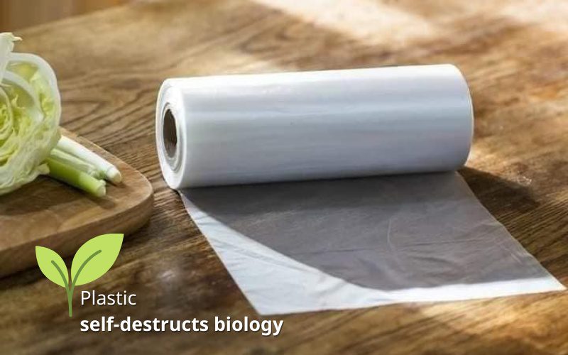 Conventional biodegradable bags are combined with additives