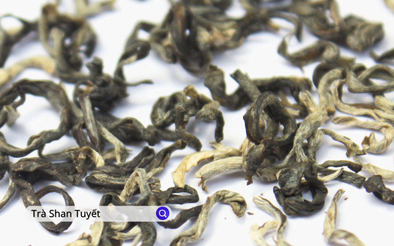 Tra Shan Tuyết được sản xuất từ những lá non của cây trà trên vùng núi cao