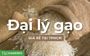 Top 6 đại lý gạo, nhà cung cấp giá rẻ, chất lượng tại TPHCM