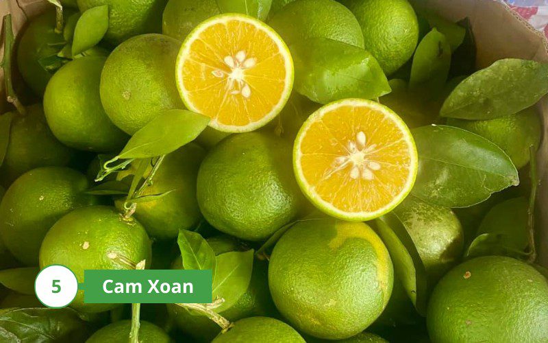 Cam Xoan is one of the sweetest oranges available today