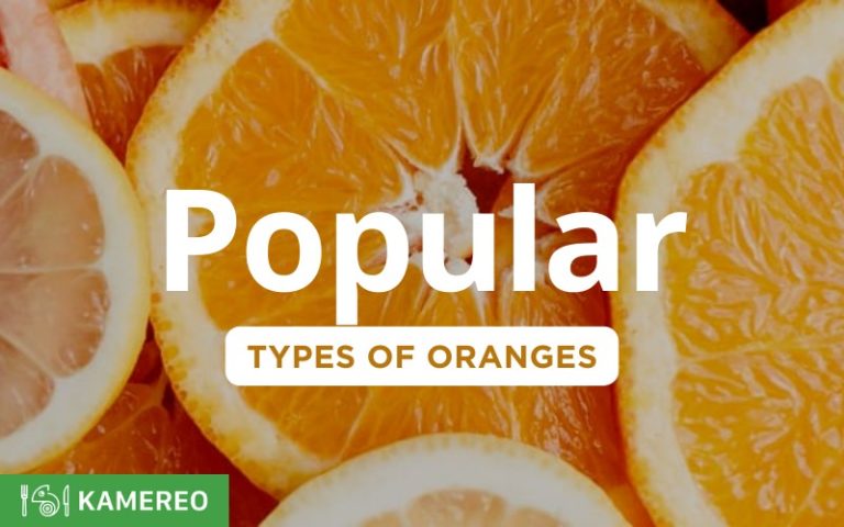 Popular Types of Delicious Oranges on the Market
