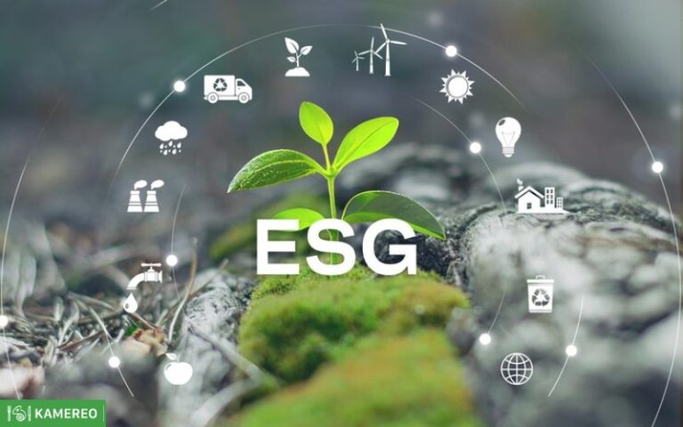 What is ESG? Why should companies care about ESG standards?