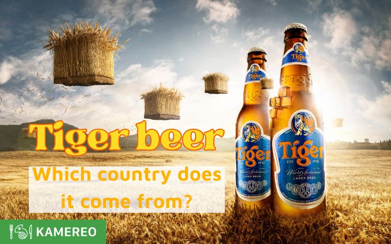 Where does Tiger Beer come from? When was it first produced?