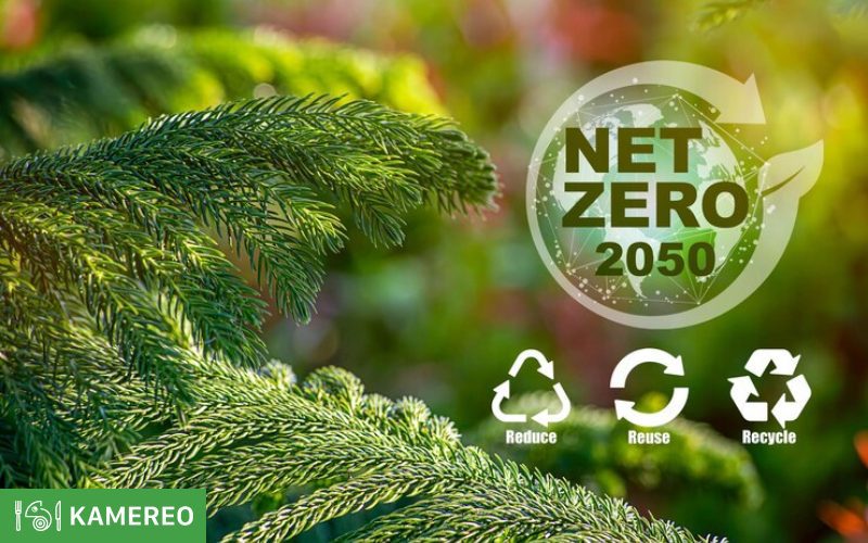 Net Zero là gì? Mục tiêu phát thải ròng bằng 0 năm 2050