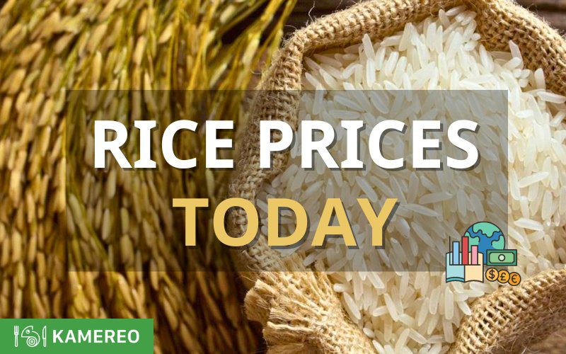 Latest Paddy Rice Prices Today