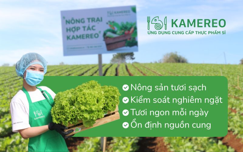 Kamereo là nhà cung cấp rau củ quả Đà Lạt tươi sạch, giá tốt