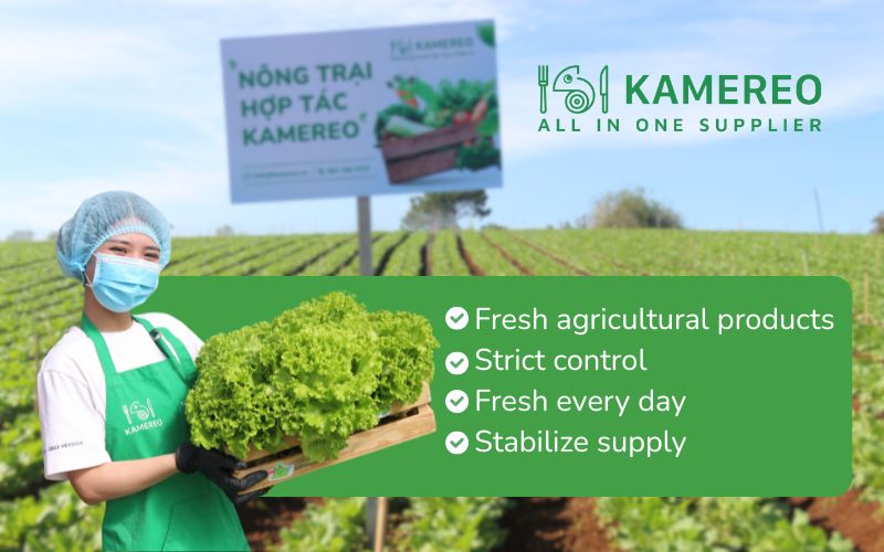 Kamereo is a modern and transparent food supply platform tailored for the F&B industry