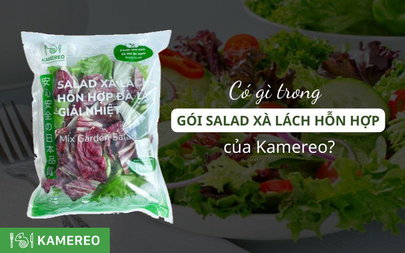 Có gì trong gói Salad Xà Lách Hỗn Hợp Đà Lạt Giải Nhiệt Kamereo Ăn Liền 100g?