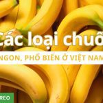 Tổng hợp các loại chuối ngon ở Việt Nam