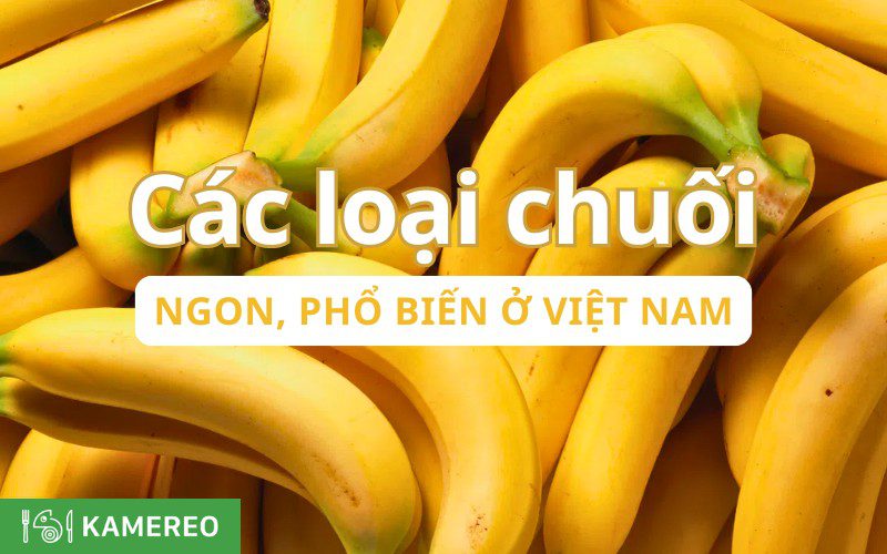 Tổng hợp các loại chuối ngon ở Việt Nam