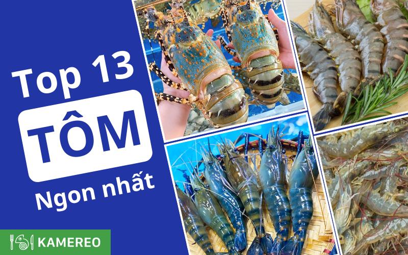 Tổng hợp các loại tôm - Loại tôm nào ngon nhất?