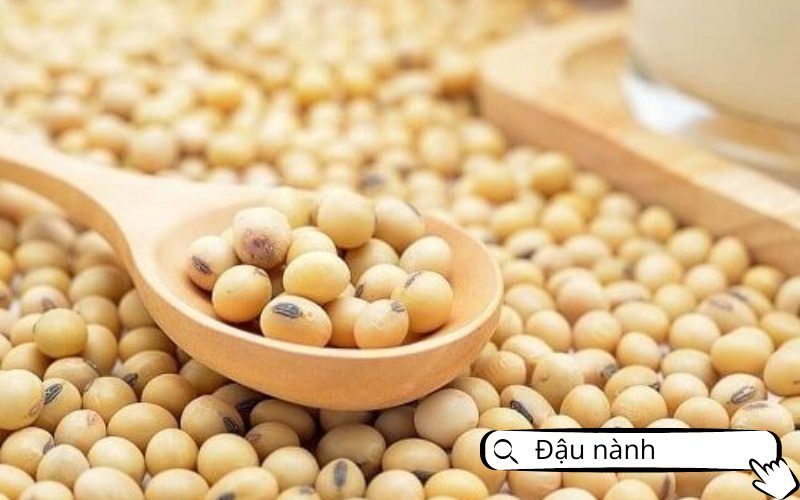 Đậu nành cung cấp protein thực vật, phù hợp cho người ăn kiêng