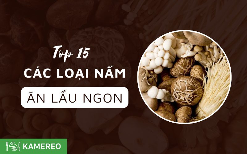 15+ Các loại nấm ăn lẩu ngon trên thế giới