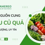 Bí quyết tìm nhà cung cấp rau củ quả cho doanh nghiệp F&B